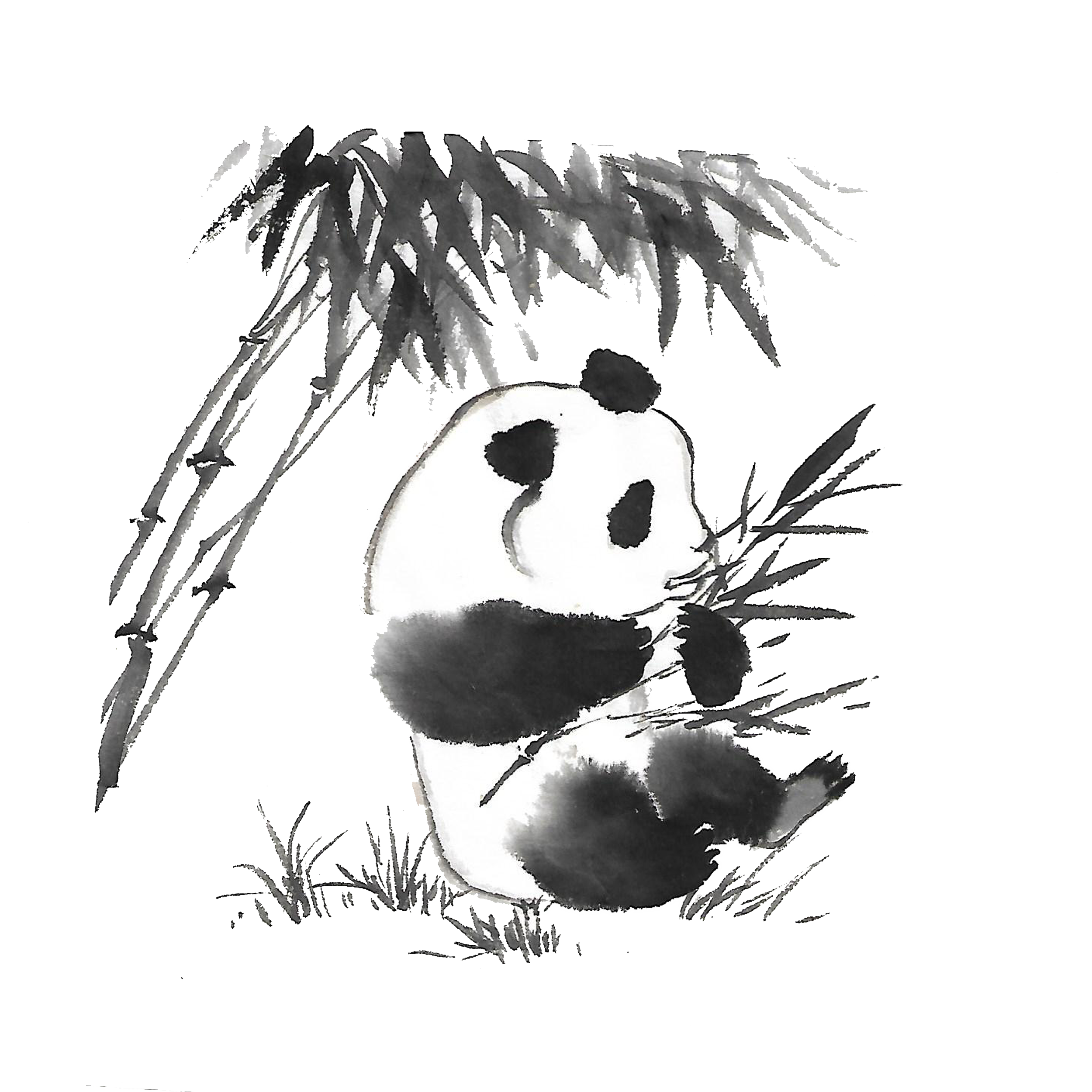 熊猫吃竹水墨画专题模板-熊猫吃竹水墨画图片素材下载-我图网